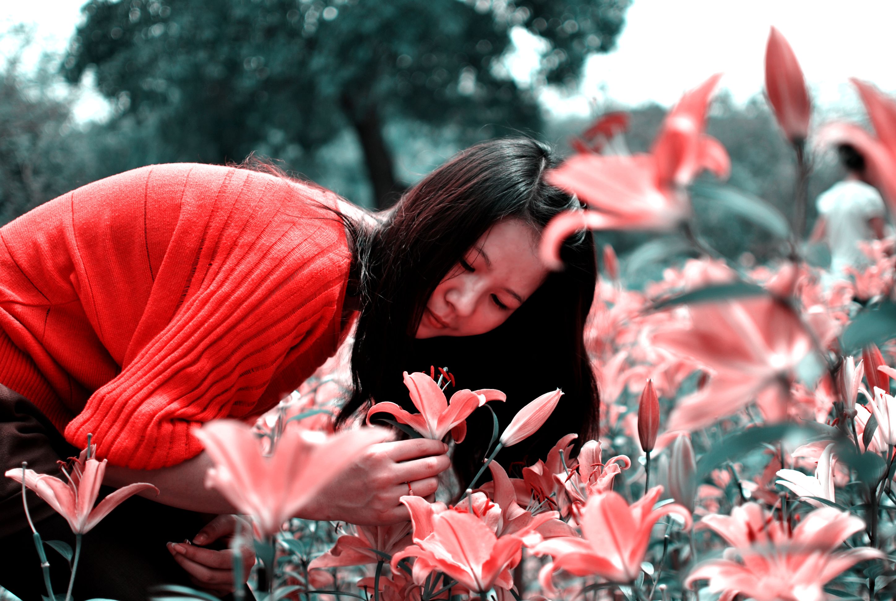 那片花海——我们的身影403 / 作者:娟子 / 帖子ID:12266