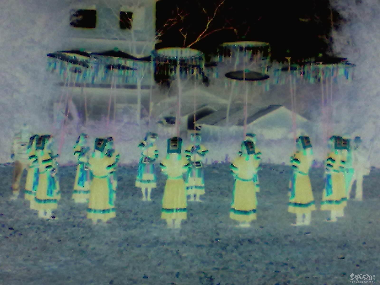 今日杨溪100 / 作者:365771801 / 帖子ID:12415