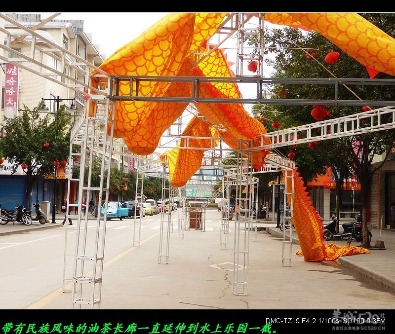 我县为开办油茶节正在搭建油茶长廊。370 / 作者:平安大叔 / 帖子ID:12491