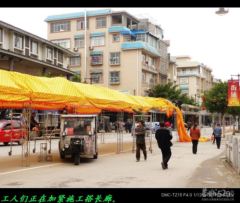 我县为开办油茶节正在搭建油茶长廊。810 / 作者:平安大叔 / 帖子ID:12491