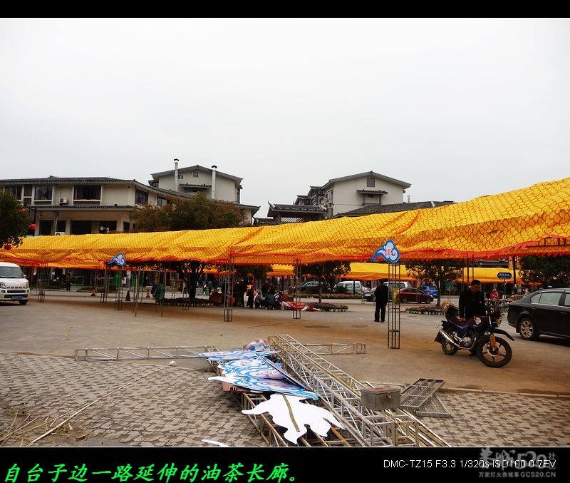 我县为开办油茶节正在搭建油茶长廊。342 / 作者:平安大叔 / 帖子ID:12491