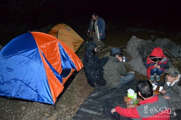 大岭山上夜赏桃花403 / 作者:黄子 / 帖子ID:12529