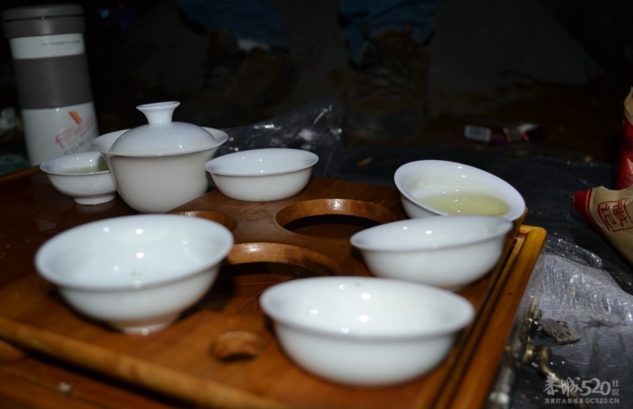 大岭山上夜赏桃花110 / 作者:黄子 / 帖子ID:12529