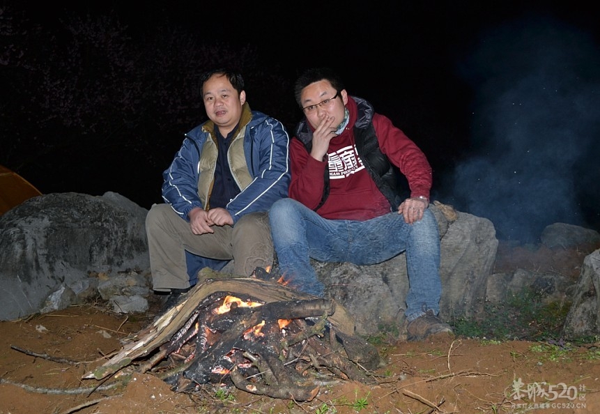 大岭山上夜赏桃花690 / 作者:黄子 / 帖子ID:12529