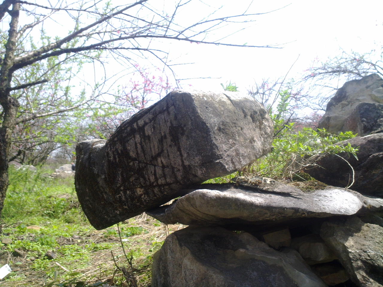 大岭山的一块石头149 / 作者:金网 / 帖子ID:12965