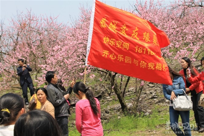 桃花山一游153 / 作者:我不懂你 / 帖子ID:13022
