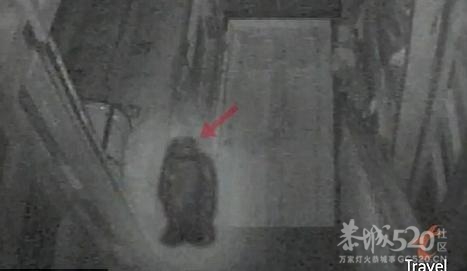 谁也不相信，这是恭城过去的刑场！599 / 作者:平心静气 / 帖子ID:12188