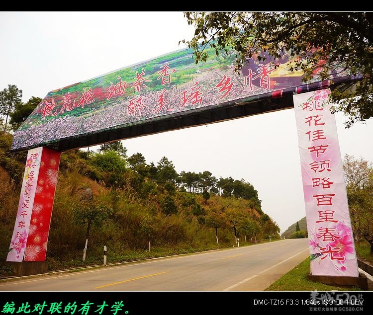 虎尾、大岭山、挖沟、治平一日游。648 / 作者:平安大叔 / 帖子ID:13157