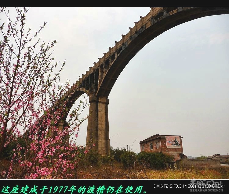 虎尾、大岭山、挖沟、治平一日游。299 / 作者:平安大叔 / 帖子ID:13157