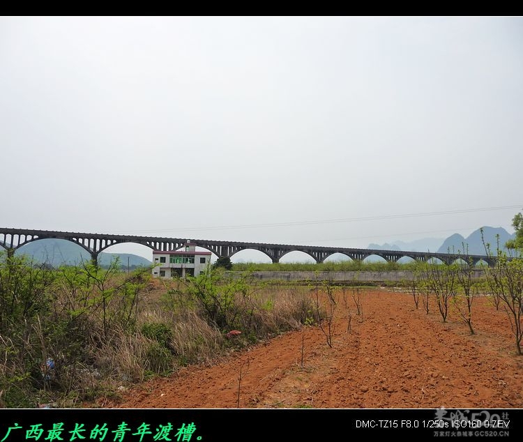虎尾、大岭山、挖沟、治平一日游。360 / 作者:平安大叔 / 帖子ID:13157
