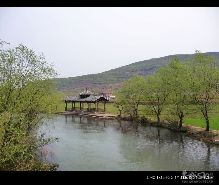 虎尾、大岭山、挖沟、治平一日游。609 / 作者:平安大叔 / 帖子ID:13157