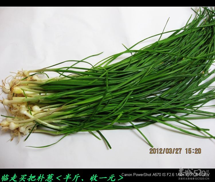 虎尾、大岭山、挖沟、治平一日游。181 / 作者:平安大叔 / 帖子ID:13157