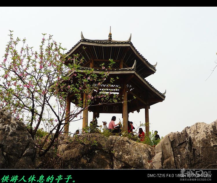 虎尾、大岭山、挖沟、治平一日游。482 / 作者:平安大叔 / 帖子ID:13157