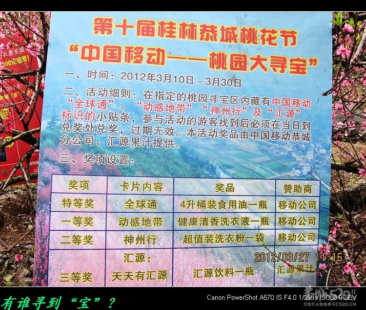 虎尾、大岭山、挖沟、治平一日游。578 / 作者:平安大叔 / 帖子ID:13157
