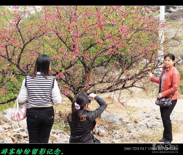 虎尾、大岭山、挖沟、治平一日游。8 / 作者:平安大叔 / 帖子ID:13157