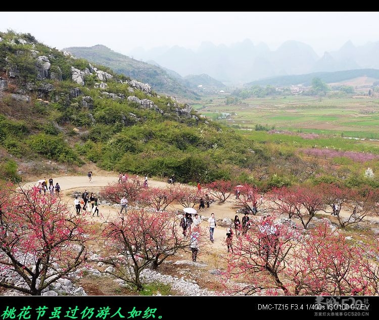 虎尾、大岭山、挖沟、治平一日游。680 / 作者:平安大叔 / 帖子ID:13157