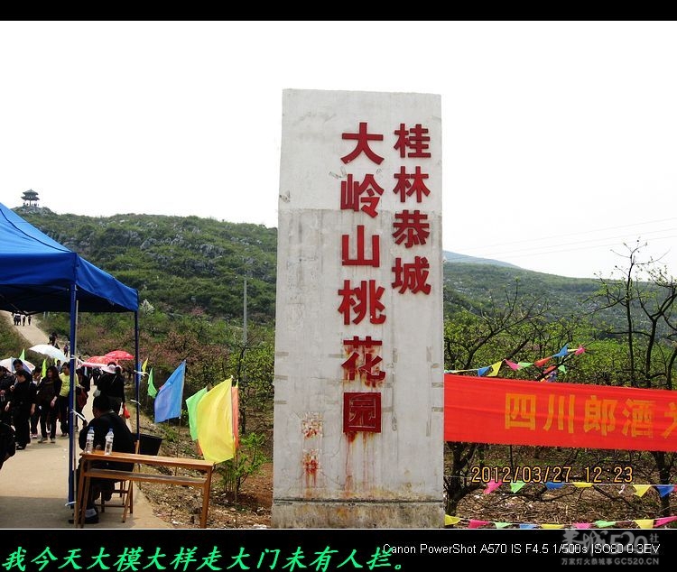 虎尾、大岭山、挖沟、治平一日游。494 / 作者:平安大叔 / 帖子ID:13157