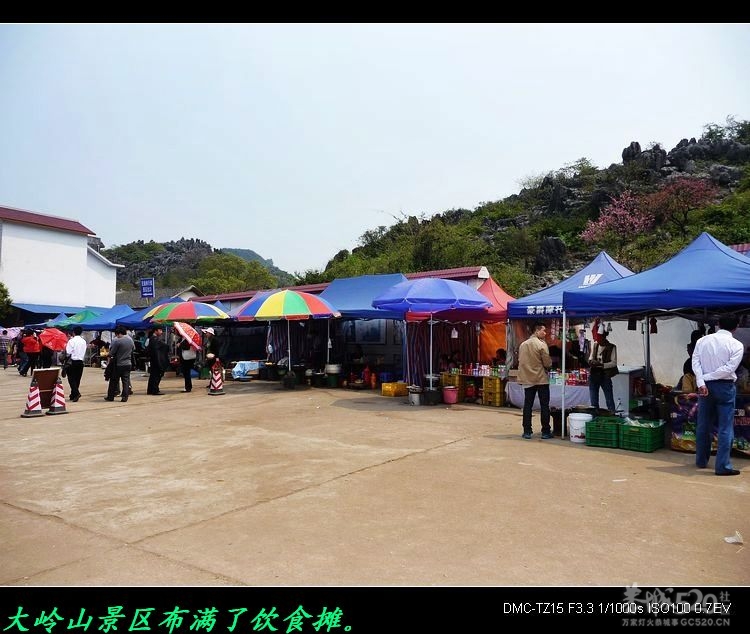 虎尾、大岭山、挖沟、治平一日游。10 / 作者:平安大叔 / 帖子ID:13157