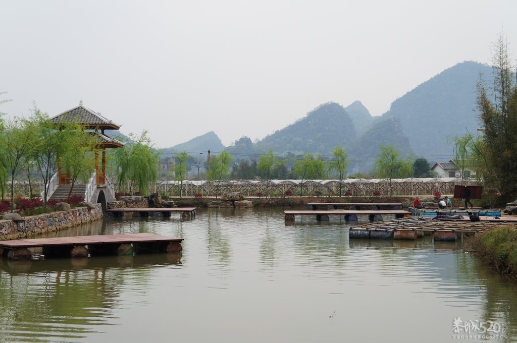 邓扒抢亲活动前期准备如火如荼进行中229 / 作者:结局、丆過如此 / 帖子ID:13183