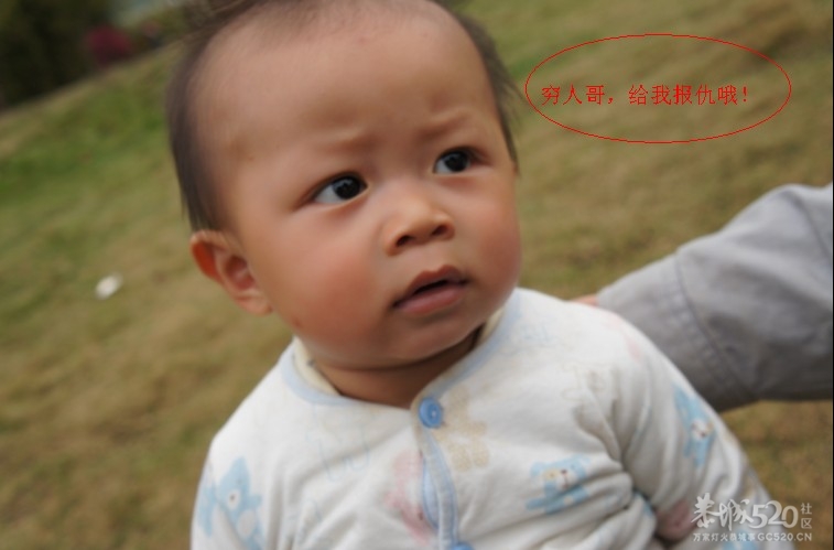 小麻蛋抢亲引发的巅峰对决391 / 作者:结局、丆過如此 / 帖子ID:13189
