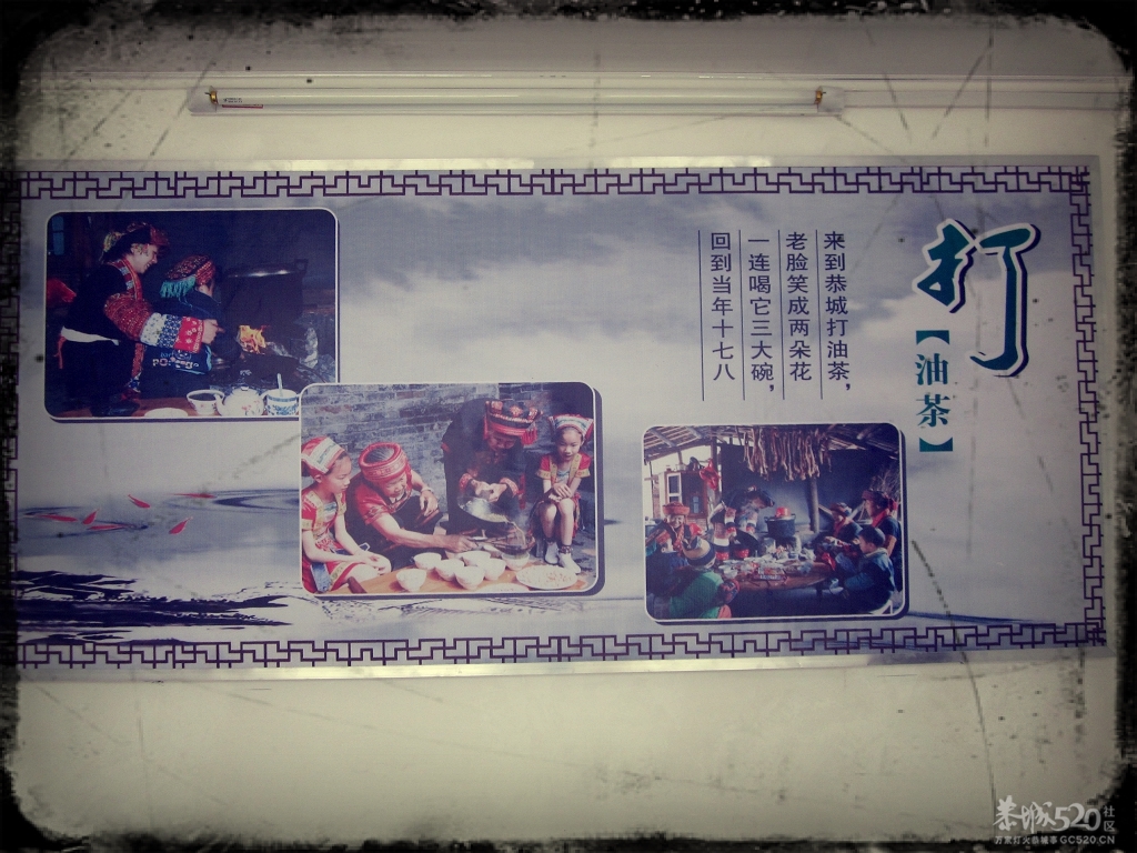 昨天下午去邓扒拍到关于恭城油茶17 / 作者:么么崽 / 帖子ID:13247