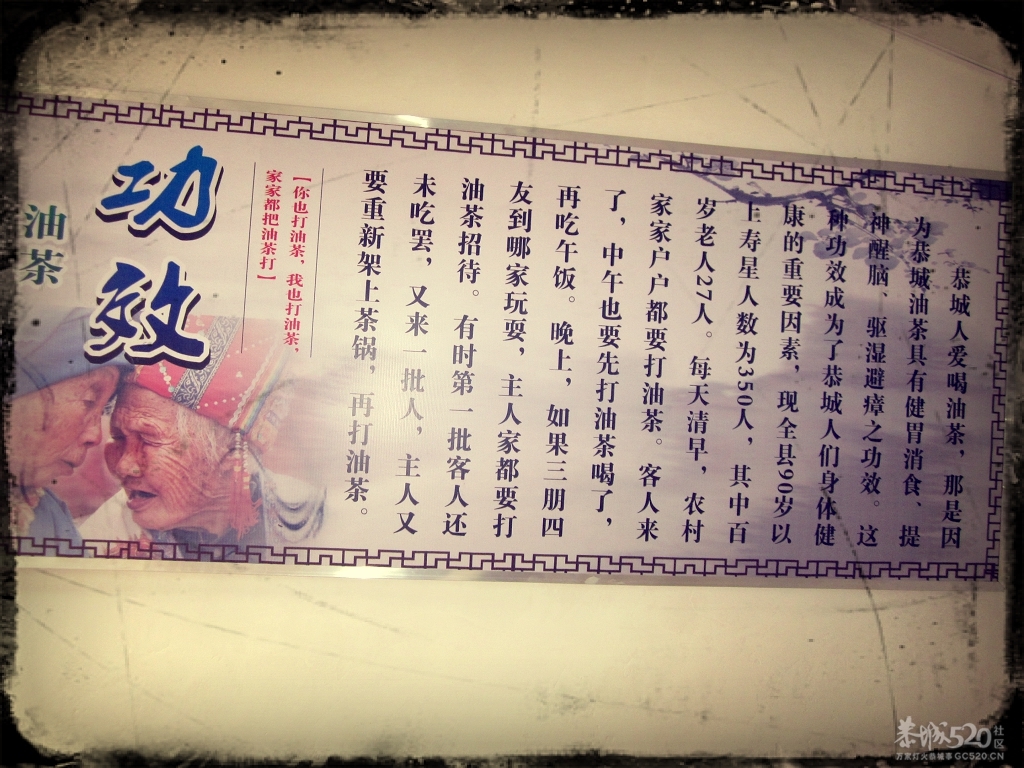 昨天下午去邓扒拍到关于恭城油茶902 / 作者:么么崽 / 帖子ID:13247