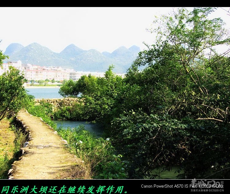 我县部分农业水利设施现状。527 / 作者:平安大叔 / 帖子ID:13293