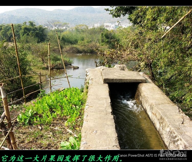 我县部分农业水利设施现状。494 / 作者:平安大叔 / 帖子ID:13293