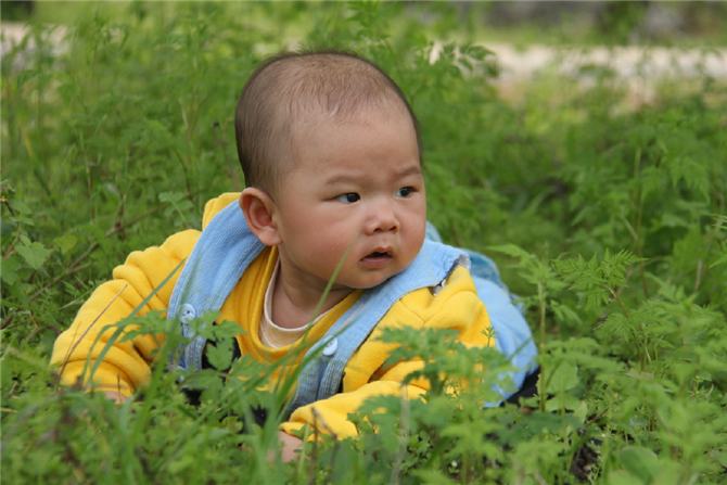 10年前的西岭小伙子，10年后的小伙子后代230 / 作者:西岭妹纸 / 帖子ID:13369