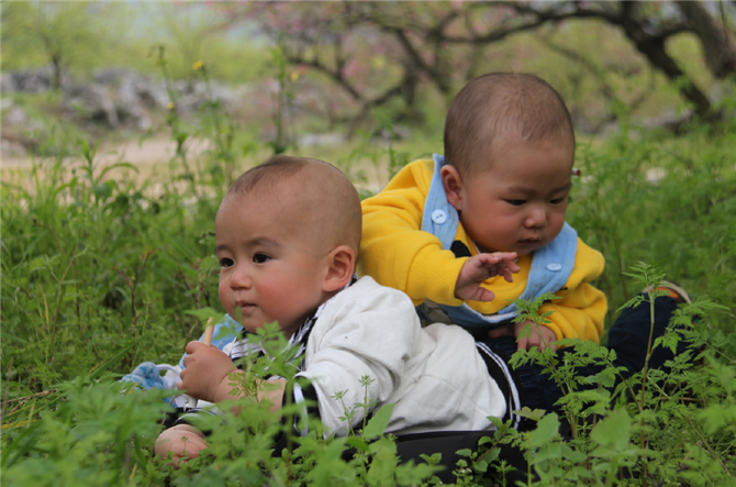 10年前的西岭小伙子，10年后的小伙子后代370 / 作者:西岭妹纸 / 帖子ID:13369