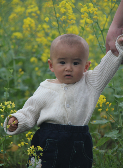10年前的西岭小伙子，10年后的小伙子后代782 / 作者:西岭妹纸 / 帖子ID:13369