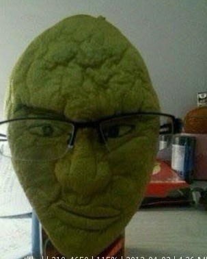 给你们看看各种各样的柚子835 / 作者:苍海小粟 / 帖子ID:13524