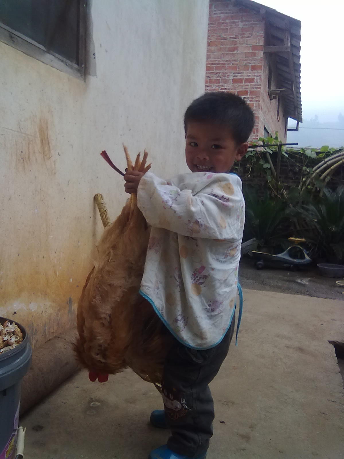 三个表侄为了个鸡打架858 / 作者:(别_ㄋ)我旳曾經 / 帖子ID:13651