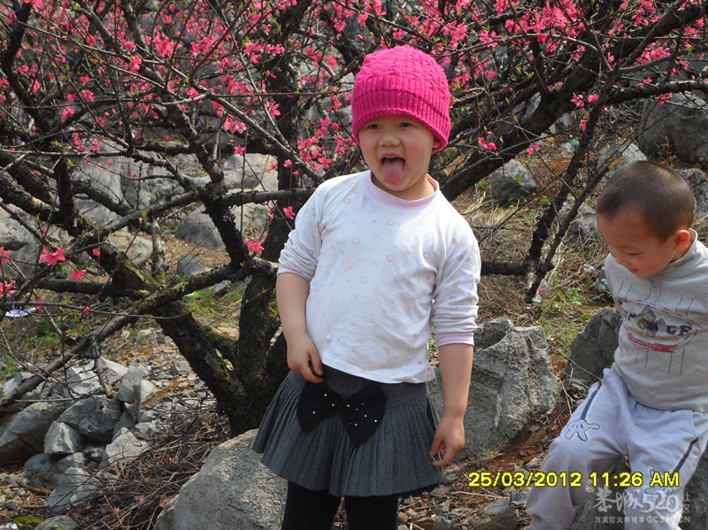 3月25日，在桃园邂逅一对可爱的姐弟611 / 作者:华灯初上 / 帖子ID:13721