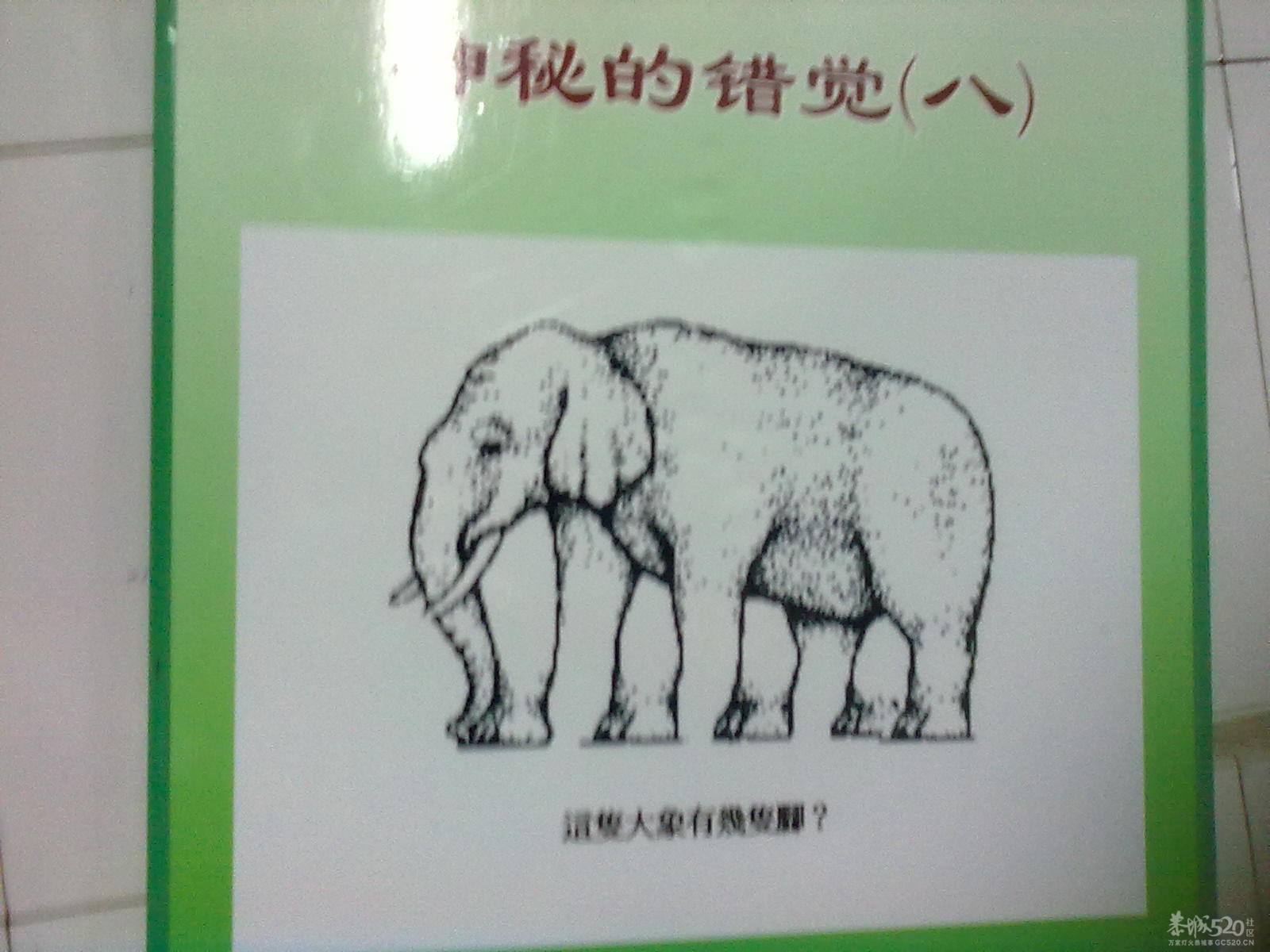 你看到几条腿？？？337 / 作者:小雨点 / 帖子ID:13918