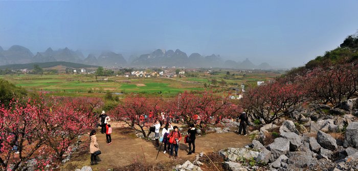 刘国兴恭城图片（一）瑶乡春色119 / 作者:老兔子 / 帖子ID:13934