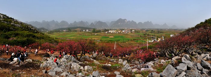 刘国兴恭城图片（一）瑶乡春色172 / 作者:老兔子 / 帖子ID:13934