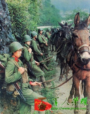 真实的对越自卫反击战照片741 / 作者:乖乖不哭 / 帖子ID:14052