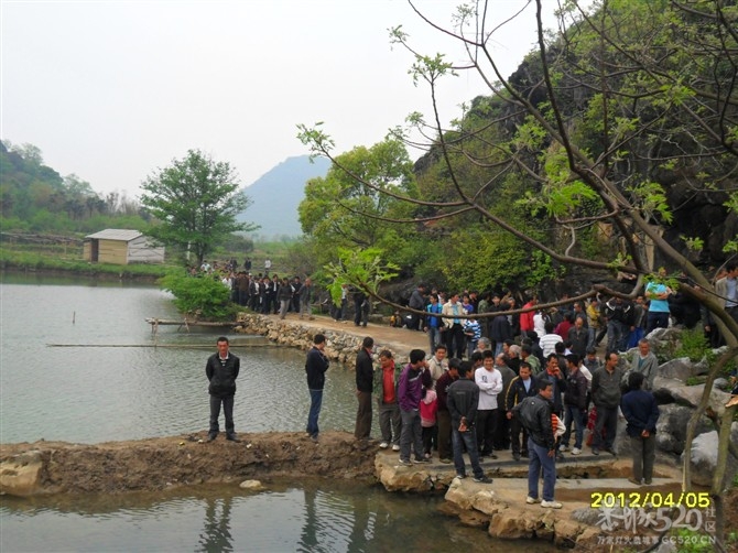 恭城《彭氏家族》清水塘清明大宴！！！！！880 / 作者:阿傑 / 帖子ID:14158