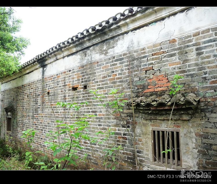 邓扒的另一角度风景895 / 作者:平安大叔 / 帖子ID:14181