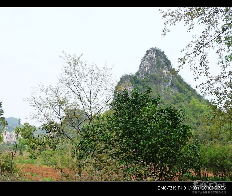 邓扒的另一角度风景231 / 作者:平安大叔 / 帖子ID:14181