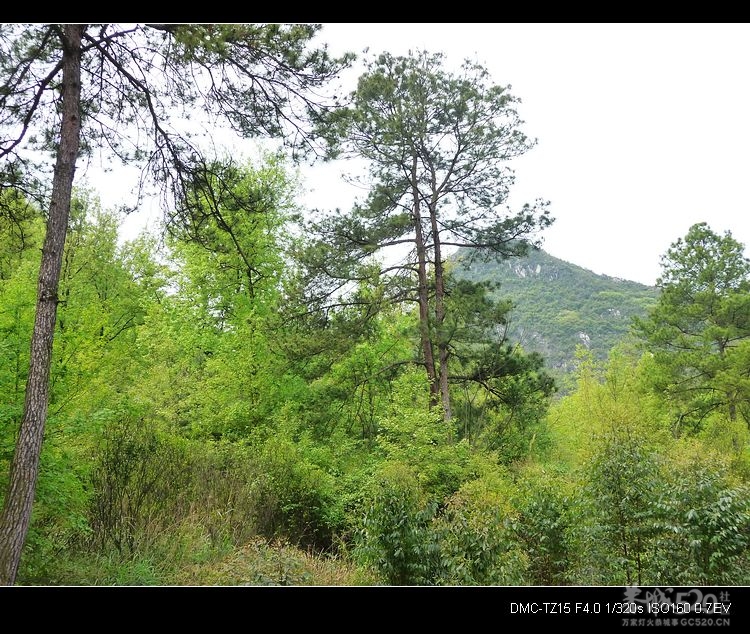 邓扒的另一角度风景875 / 作者:平安大叔 / 帖子ID:14181