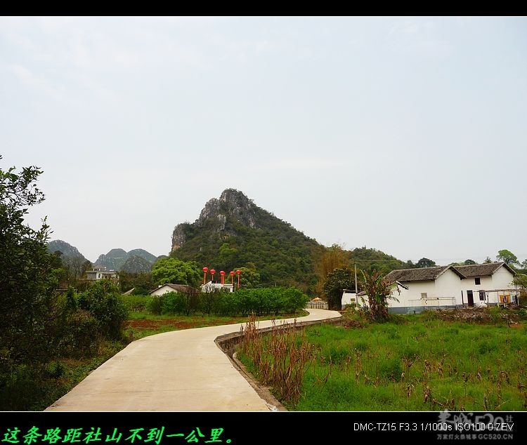 邓扒的另一角度风景875 / 作者:平安大叔 / 帖子ID:14181