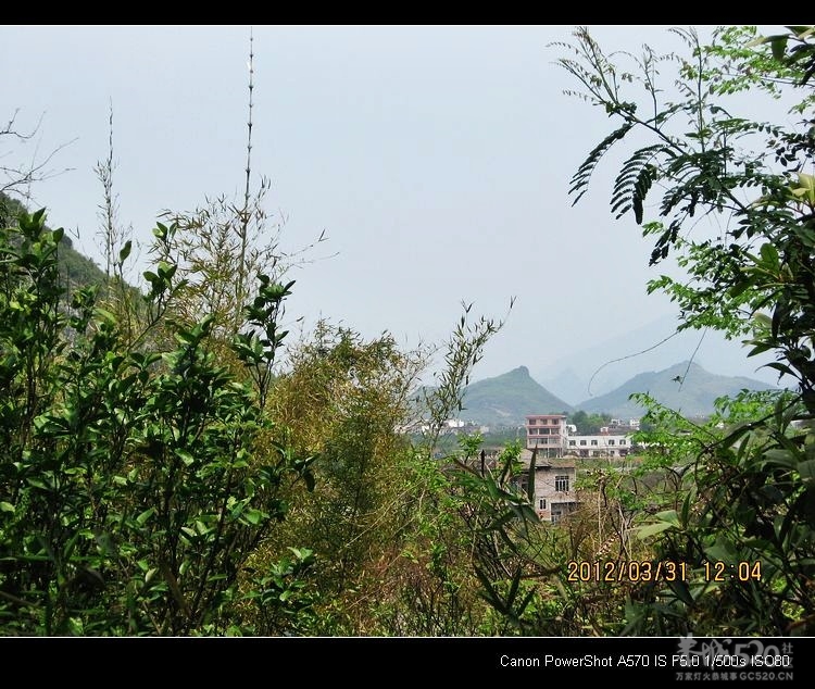 邓扒的另一角度风景716 / 作者:平安大叔 / 帖子ID:14181