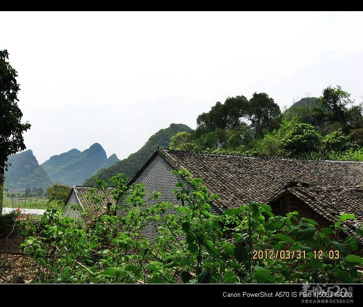 邓扒的另一角度风景384 / 作者:平安大叔 / 帖子ID:14181