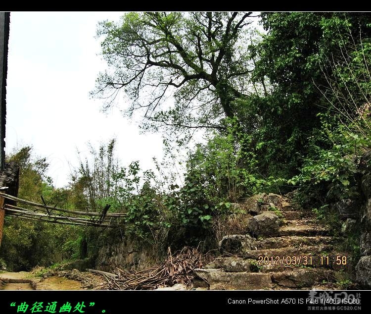 邓扒的另一角度风景120 / 作者:平安大叔 / 帖子ID:14181