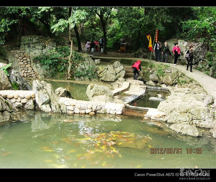 邓扒的另一角度风景550 / 作者:平安大叔 / 帖子ID:14181