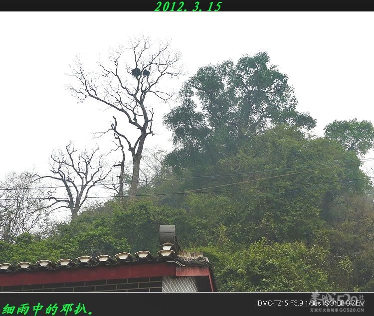 邓扒的另一角度风景604 / 作者:平安大叔 / 帖子ID:14181