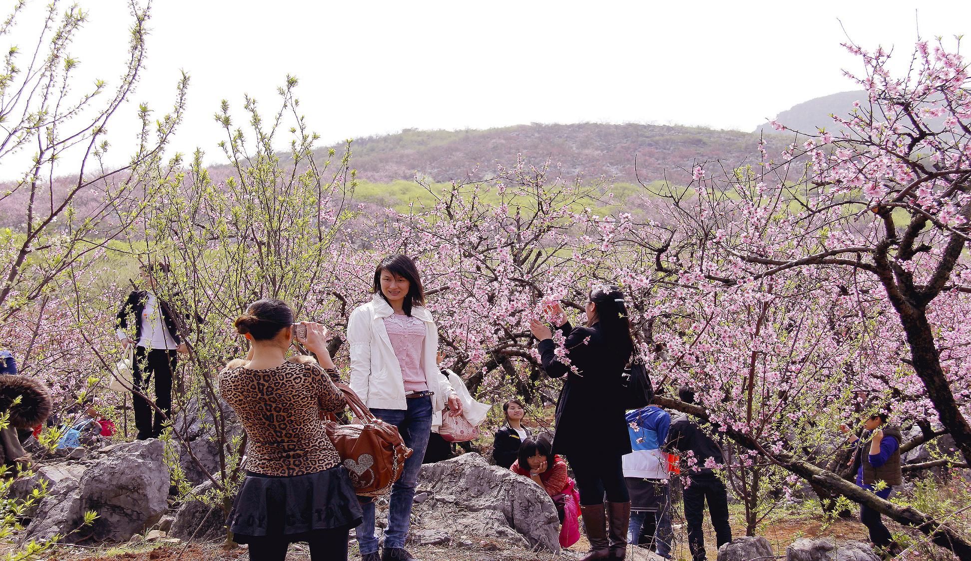大岭山上的游客120 / 作者:瑶乡看兰 / 帖子ID:14214