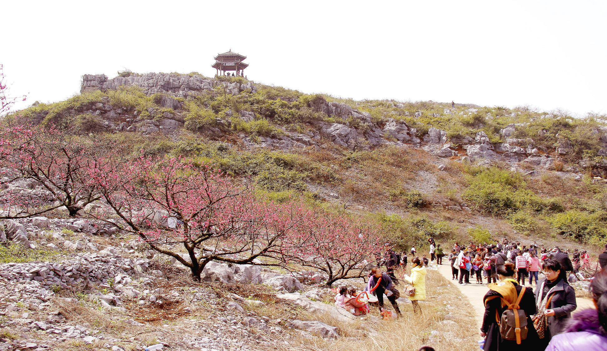 大岭山上的游客789 / 作者:瑶乡看兰 / 帖子ID:14214